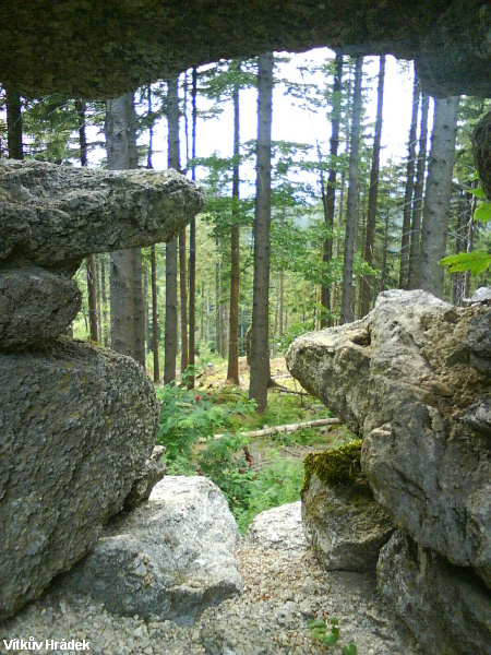 DSC01130.JPG