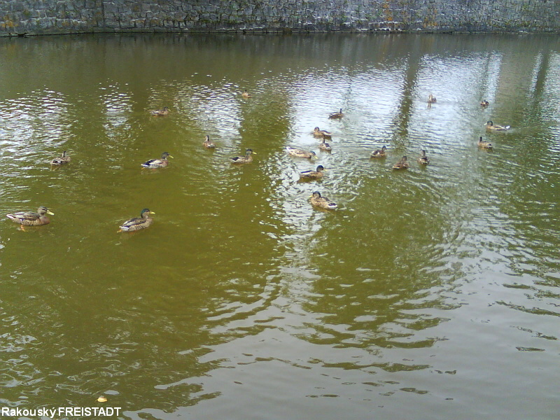 DSC01179.JPG