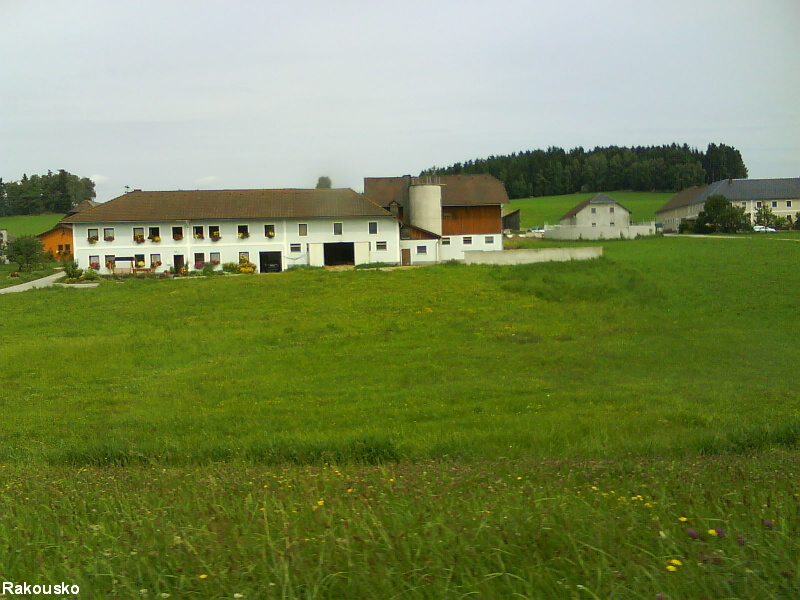 DSC01180.JPG