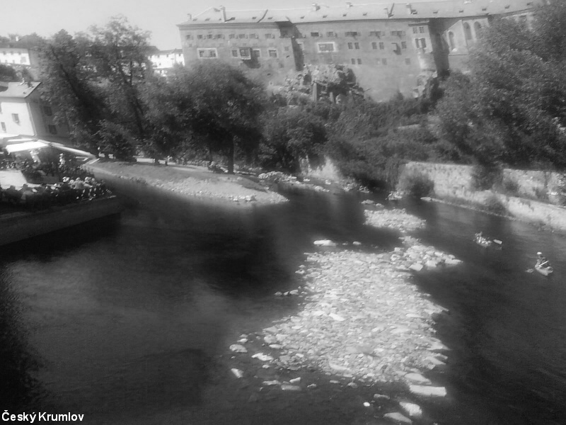 DSC01193.JPG