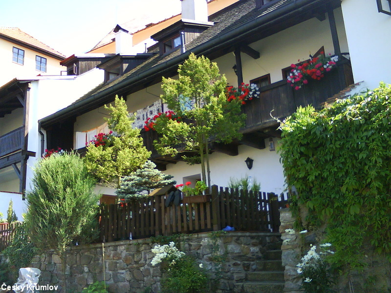 DSC01201.JPG