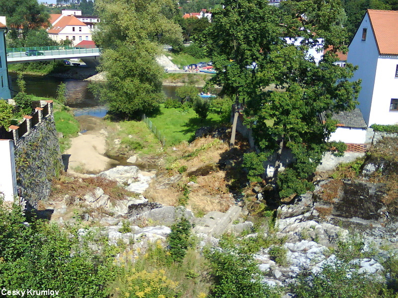 DSC01223.JPG