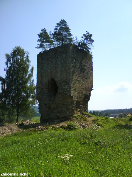 DSC01239.JPG