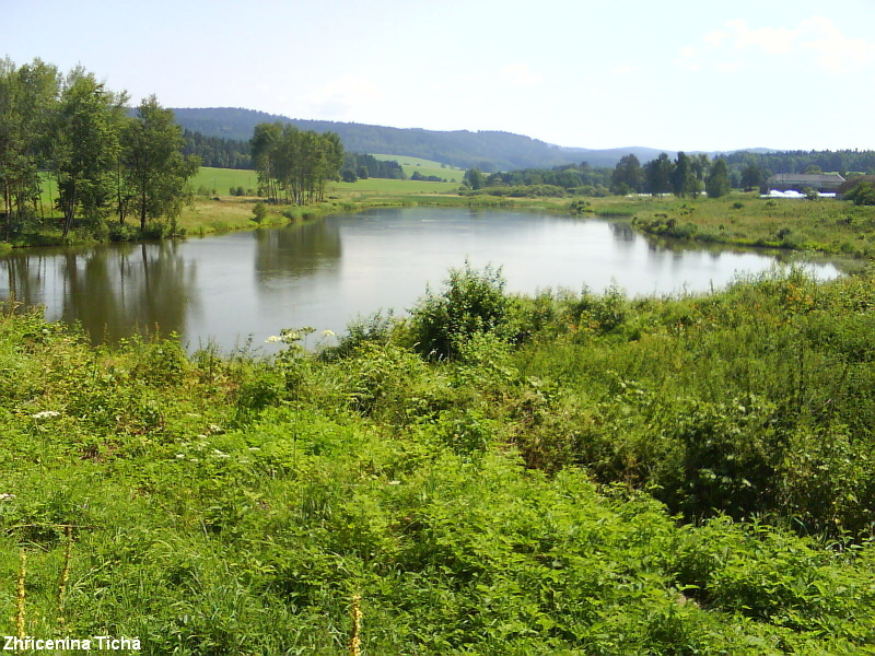 DSC01247.JPG