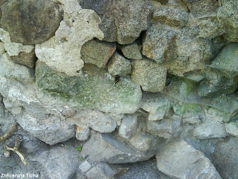 DSC01248.JPG