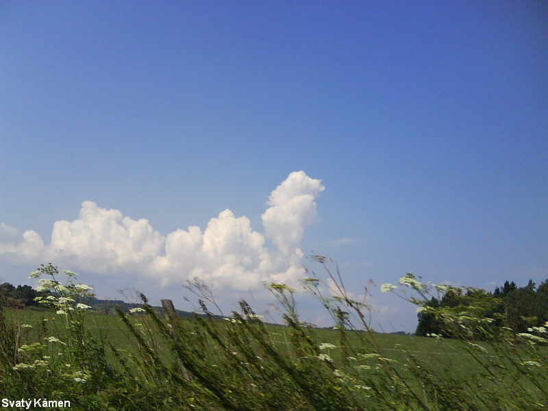 DSC01265.JPG