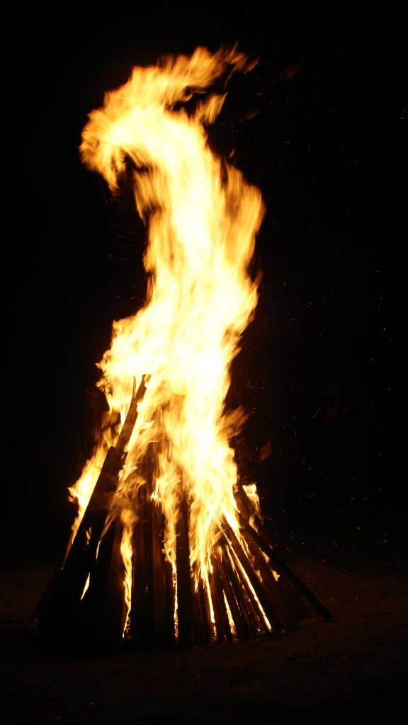 DSC00872.JPG